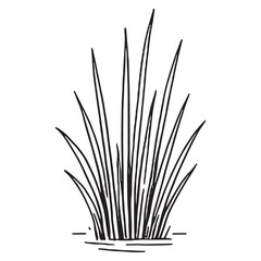 Fototapeta premium Sleek Black and White Line Art of Tall Aquatic Grass Blades Illustration