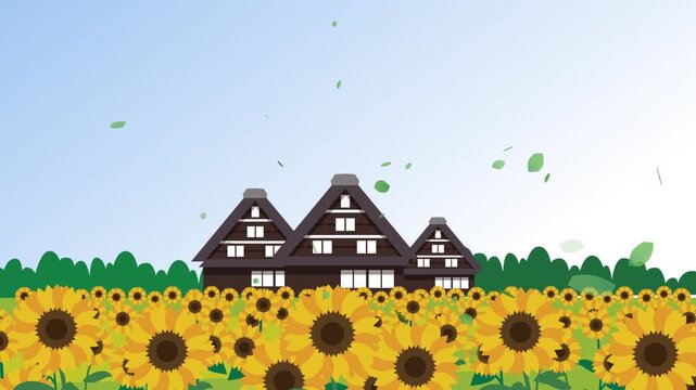 日本の夏のひまわり畑