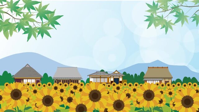 日本の夏のひまわり畑