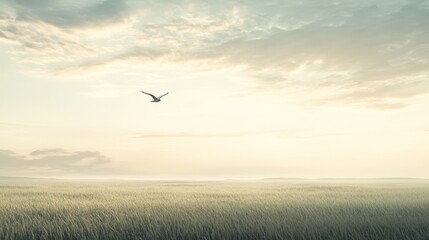 Obraz premium A solitary bird soars above a vast, golden field at dawn