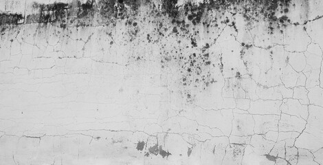Crack wall texture background broken earthquake effect, whtie grey building cement damage pattern plaster grunge black line paint surface abstract, construction rough street concrete backdrop.