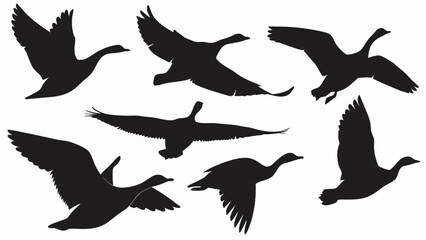 Silhouette illustration showing a group of geese in various stages of flight against a white background