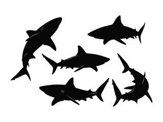 Shadow Sharks: Silhouette of sharks in the ocean, capturing the elegance and power.