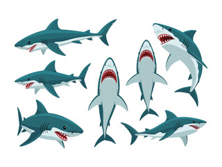 Predatory Shark Illustration Set: A captivating illustration set showcases various poses of the majestic great white shark, capturing its formidable presence. Detailed features and dynamic action