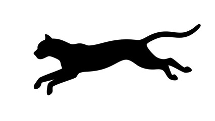 Silhouette of a feline animal in mid air leaping forward with its tail curved upwards gracefully in black