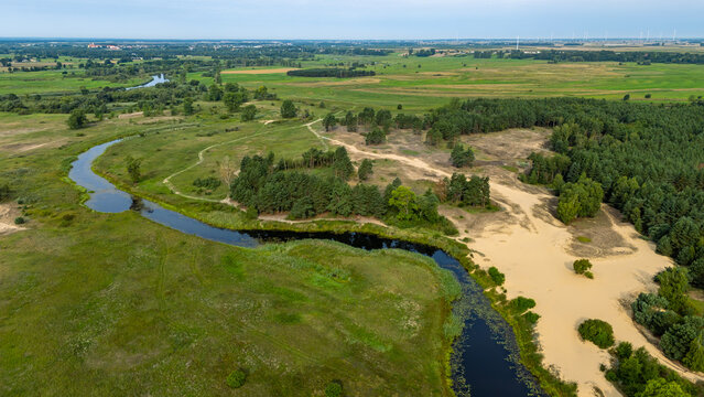 Aerial view of the "Białe Góry" inland dunes near Pyzdry, with the Warta River winding through the green landscape. Unique natural scenery with sand hills and vegetation.