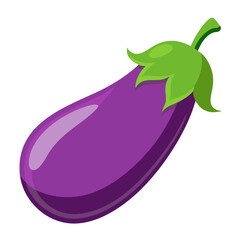 eggplant isolated on white background