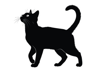 Black Cat Silhouette: A sleek, black cat silhouette, set against a bright background, embodies mystery and grace in a photorealistic depiction. Capturing the essence of feline elegance.