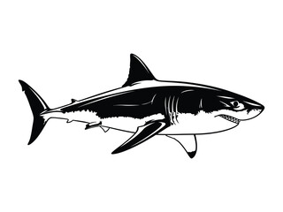 Shark Illustration: A striking monochrome illustration of a shark, with sharp details that emphasize its predatory nature and streamlined form.