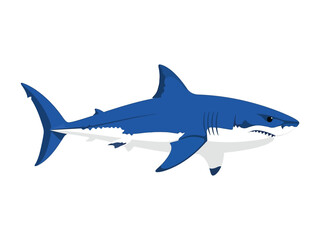 Majestic Blue Shark: A powerful and streamlined great white shark glides gracefully, rendered with striking simplicity and bold hues, embodying the raw beauty and inherent danger of the open ocean.
