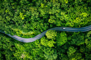 Aerial view of a road in the middle of the forest , road curve construction up to mountain