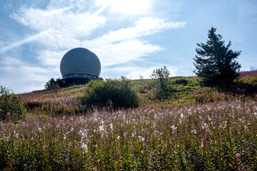 Radar dome on the Wasserkuppe with a flower meadow and a blue sky