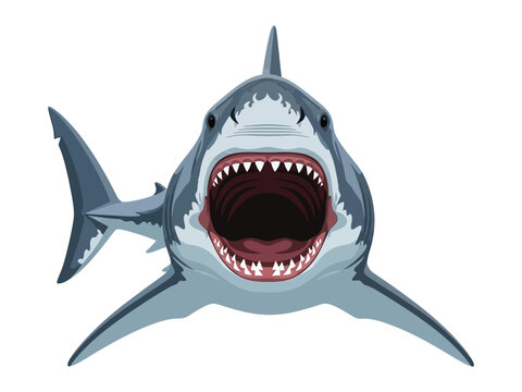 Shark's Jaw: A fierce great white shark, with its jaws wide open in a display of power and predatory instinct, swimming towards the viewer. Capturing the strength and danger of the open ocean.