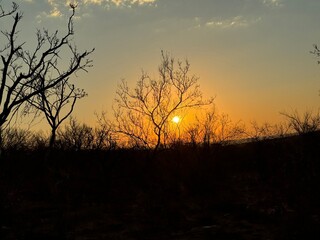 Safari trip to South Africa