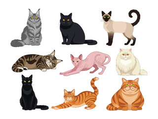 Variety of Cat Breeds Collection: Captivating illustration featuring diverse cat breeds, each with unique characteristics and charm, showcase the beauty and personality of domestic felines.