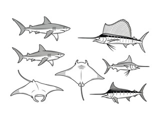 Marine Wonders: A stunning illustrative array showcases the majestic forms of marine life, featuring the sleek elegance of sharks, the graceful glide of stingrays.