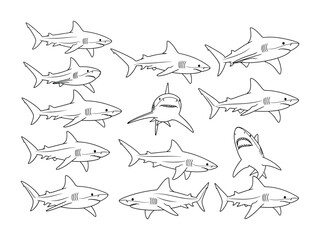 Oceanic Hunters: A striking illustration showcases a collection of sleek shark profiles in various perspectives, highlighting the unique form and fierce demeanor of these apex predators.