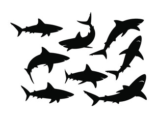 Oceanic Silhouette: A collection of majestic shark silhouettes, each a symbol of ocean power, rendered in a clean, stark design, suggesting mystery and life beneath the waves.