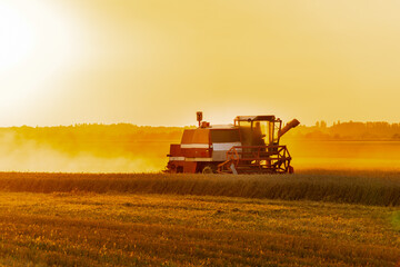 A large harvester operates in a golden field at sunset, silhouetted against a vibrant sky while...