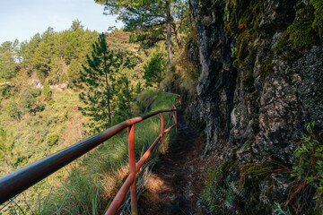 Girl filming sunrise in the mountains on her phone
