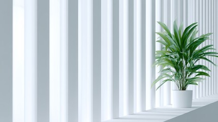 Indoor plant in a modern white interior with vertical blinds, creating a serene atmosphere and enhancing the minimalist design aesthetic