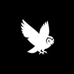 Action of an Owl in Flight, Wildlife Photography, Nighttime, Black Background, Dynamic Movement, Concept of Freedom