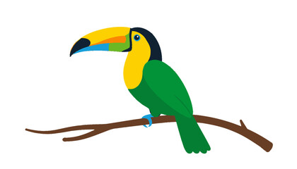 Obraz premium Colorful toucan bird illustration perched on a tree branch, isolated vector graphic