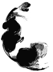 Vector art of abstract black ink splash swirling in water, isolated on transparent background