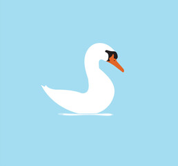 white swan on the water