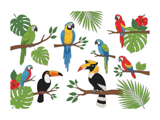 Vibrant Tropical Birds Collection: A lively illustration showcasing an array of vivid parrots and tropical birds perched on branches, each a stunning example of nature's artistry.