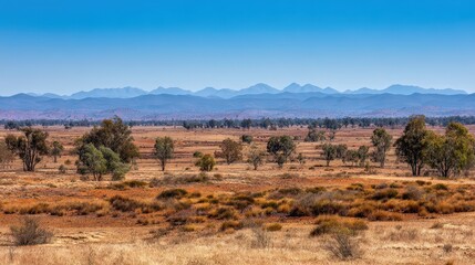 Vast Australian Plains Landscape With Distant Mountains