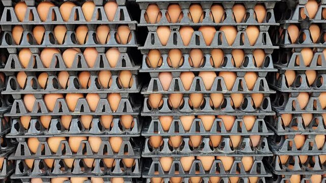 Stacks of brown eggs arranged in black plastic trays forming repetitive rows and layers in storage. Industrial poultry farming, food supply chain, wholesale distribution, agriculture production