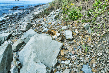 Pebble beach, cobbles, scrag, chunk of cliff on the shore of the Sea of Japan. Seacoast erosion