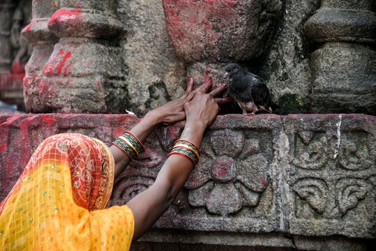 Woman devotee offer prayers at Kamakhya Temple