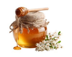 Close-up of rustic honey jar with honey drips and wooden dipper isolated on transparent background