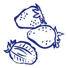 Strawberry hand drawn illustration vector.