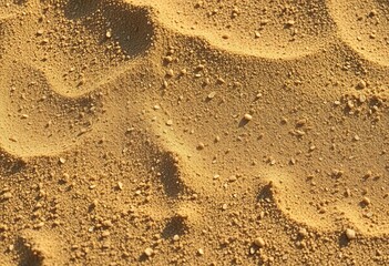 Fine, dry sand, textured surface, sun-baked grains,  detail,  warm