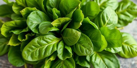 Fresh bunch of spinach leaves, vibrant green, healthy,  green,  color