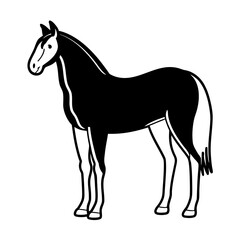 Obraz premium horse vector illustration