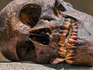the human skull lies on the sand close up