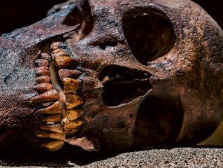 the human skull lies on the sand close up