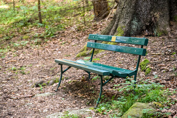 green wooden bench with metal legs stands quietly along a forest path, surrounded by fallen leaves,...
