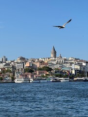 Beautiful View of Istanbul with Galata Tower and Seagull.  Turkey. 19 July 2025. Summer.  