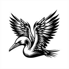 Obraz premium Black and white illustration of a seabird in flight with wings spread