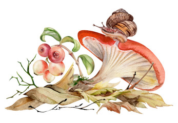 Russula webcap cortinarius mushroom, crawling snail on cap, cranberry lingonberry berries twigs on top of fallen autumn leaves pile. Forest floor. Fungi natural illustration hand drawn in watercolor.