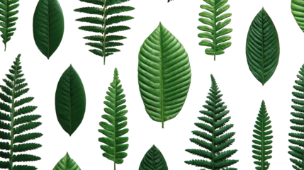 Green leaves of various shapes arranged against black background