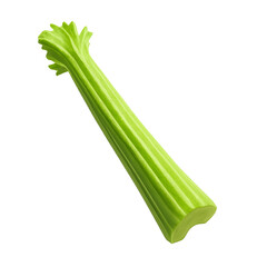 Single celery stalk standing upright on transparent background