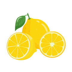 Colorful set of yellow lemons from whole, slice and piece of lemon on white background. Tropical fruits season. Hand drawn.