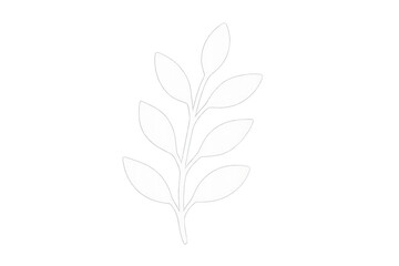 Obraz premium White botanical leaves spreading softly, revealing delicate veins and translucent texture against clean minimalist backdrop