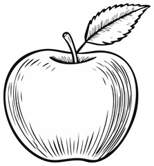 Classic Hand Drawn Apple with Leaf and Stem Vintage Sketch Style Fruit Illustration